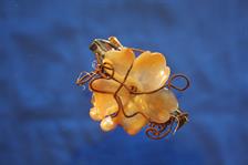 Musikblume III